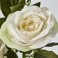 Cream White Rose Spray