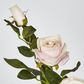 Light Pink Rose Spray