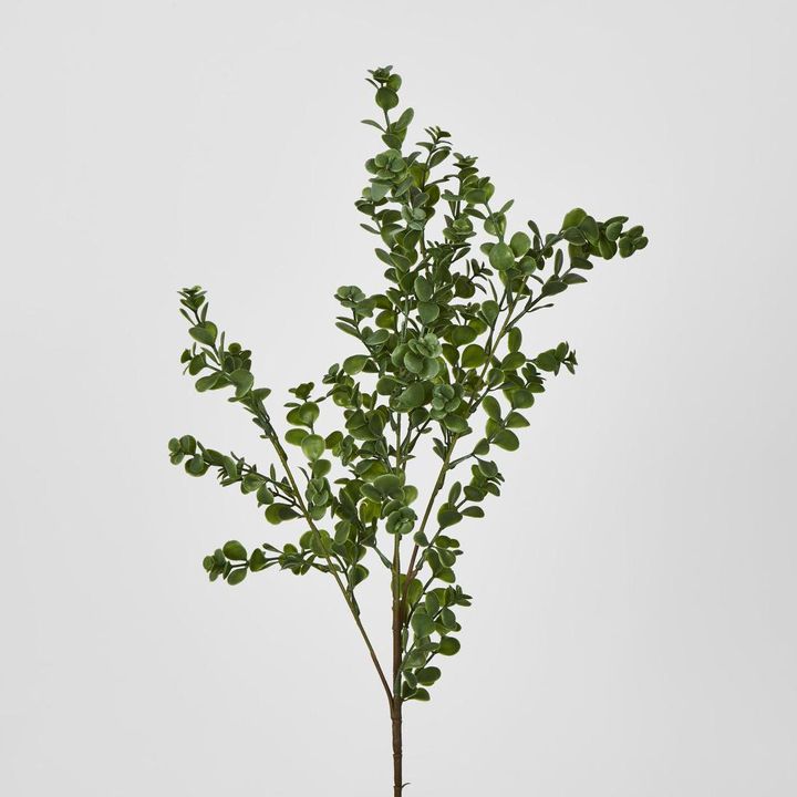 Light Green Boxwood Bush Spray