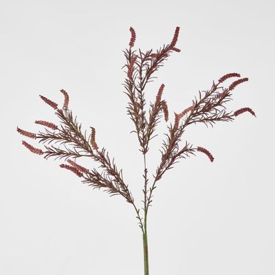 Lavender Purple Amaranthus Spray