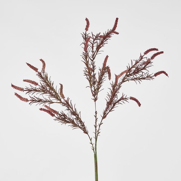 Amaranthus Spray Purple