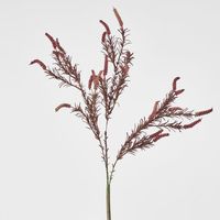 Amaranthus Spray Purple