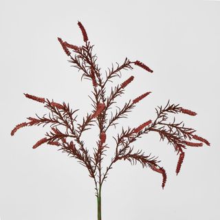 Dark Pink Amaranthus Spray