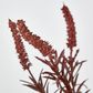 Dark Pink Amaranthus Spray