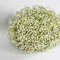 Baby's Breath Floral Ball