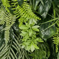 Tropical Green Leaf Greenery Wall