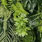 Tropical Green Leaf Greenery Wall