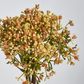 Orange Yellow Gyp Bush Bouquet