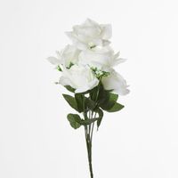 Rose Bush  Sold in Box Qty Only