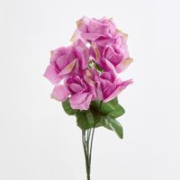 Rose Bush  Sold in Box Qty Only