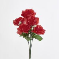 Rose Bush  Sold in Box Qty Only