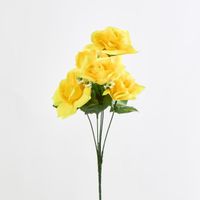 Rose Bush  Sold in Box Qty Only