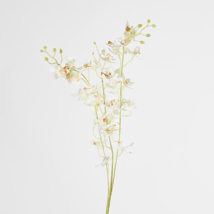 Dendrobium Spray White