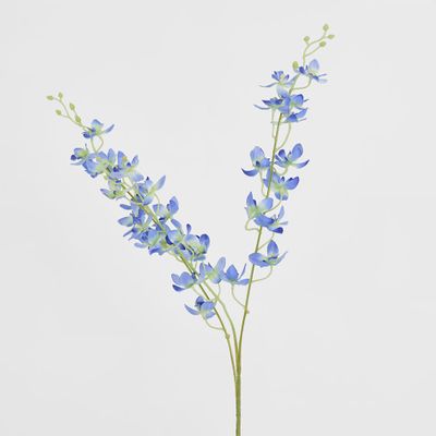 Dendrobium Spray Blue
