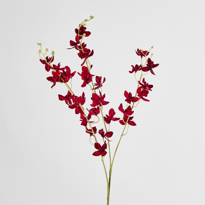 Red Dendrobium Spray