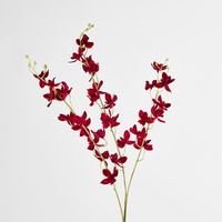 Red Dendrobium Spray