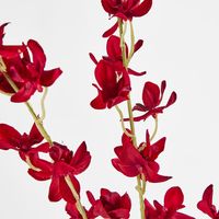 Red Dendrobium Spray