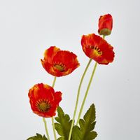 Mini Poppy Spray Orange