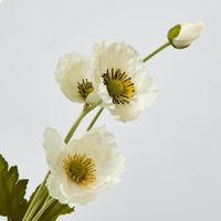 Mini Poppy Spray White
