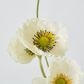 White Poppy Spray 3 Flowers 1 bud