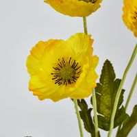 Yellow Poppy Spray 3 Flowers 1 bud