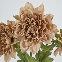 Chrysanthemum Spray x 3 Brown