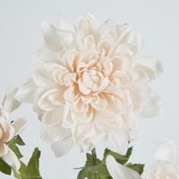 Blush Pink Chrysanthemum Spray x 3