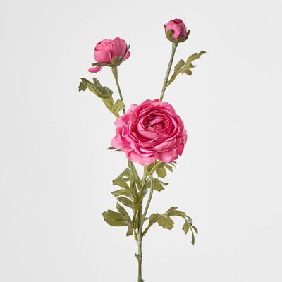 Ranunculus Spray Dark Pink
