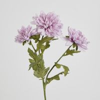 Chrysanthemum Spray x 3 Purple