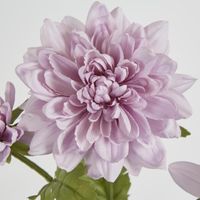 Chrysanthemum Spray x 3 Purple