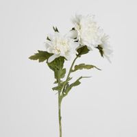 Chrysanthemum Spray x 3 White