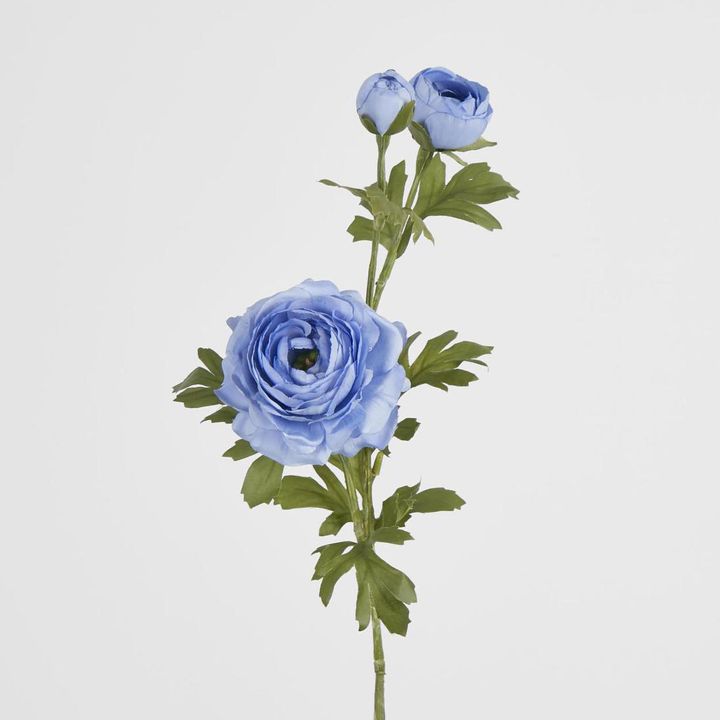Ranunculus Spray x 3 Blue