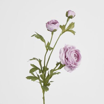 Dusty Lavender Ranunculus Spray x 3