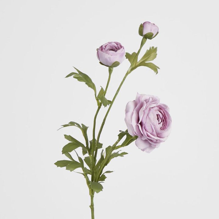 Ranunculus Spray x 3 Purple