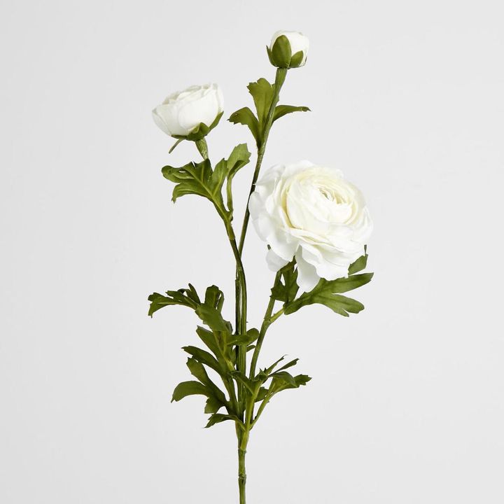 Ranunculus Spray x 3 White