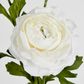 White Ranunculus Spray x 3