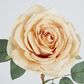 Butter Cream Rose 63cm