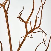 Coated Twig Branches 104CM Brown