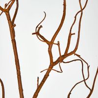 Coated Twig Branches 104CM Brown