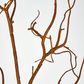 Coated Twig Branches 104CM Brown