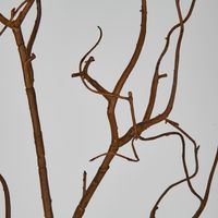 Coated Twig Branches 104CM Brown