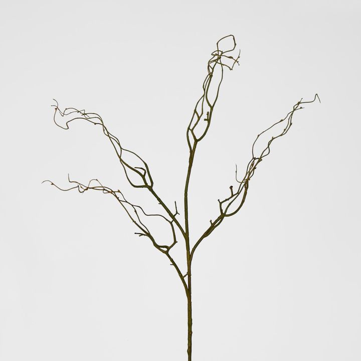 Green Twig Branch 104cm