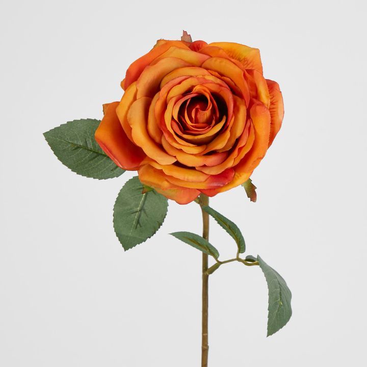 Yellow Gold Rose 63cm