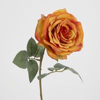 Yellow Gold Rose 63cm