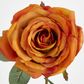 Yellow Gold Rose 63cm