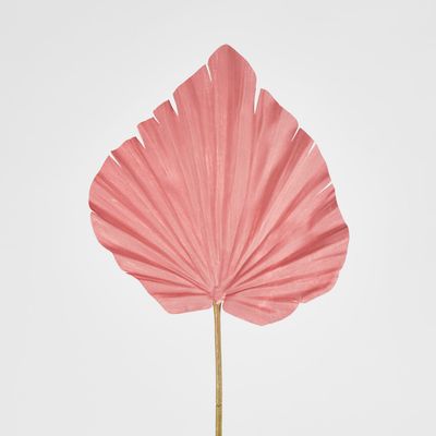 Pink Palm Leaf