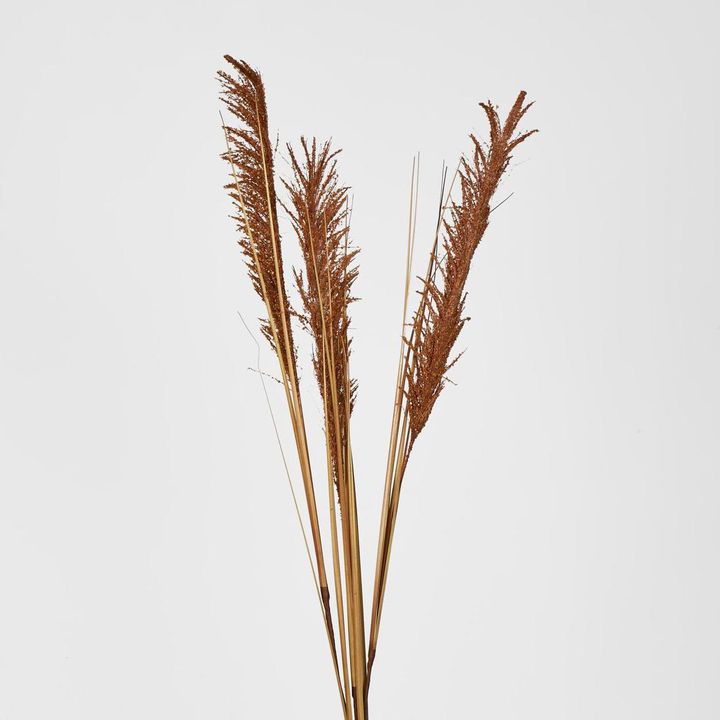 Brown Pampas grass Spray