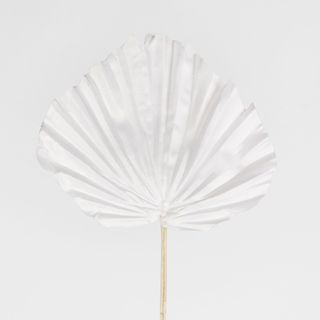 White Palm Leaf