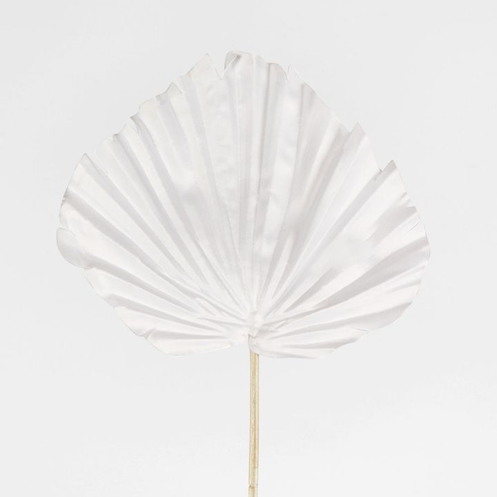 White Palm Leaf