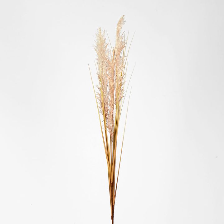 Cream White Pampas grass Spray